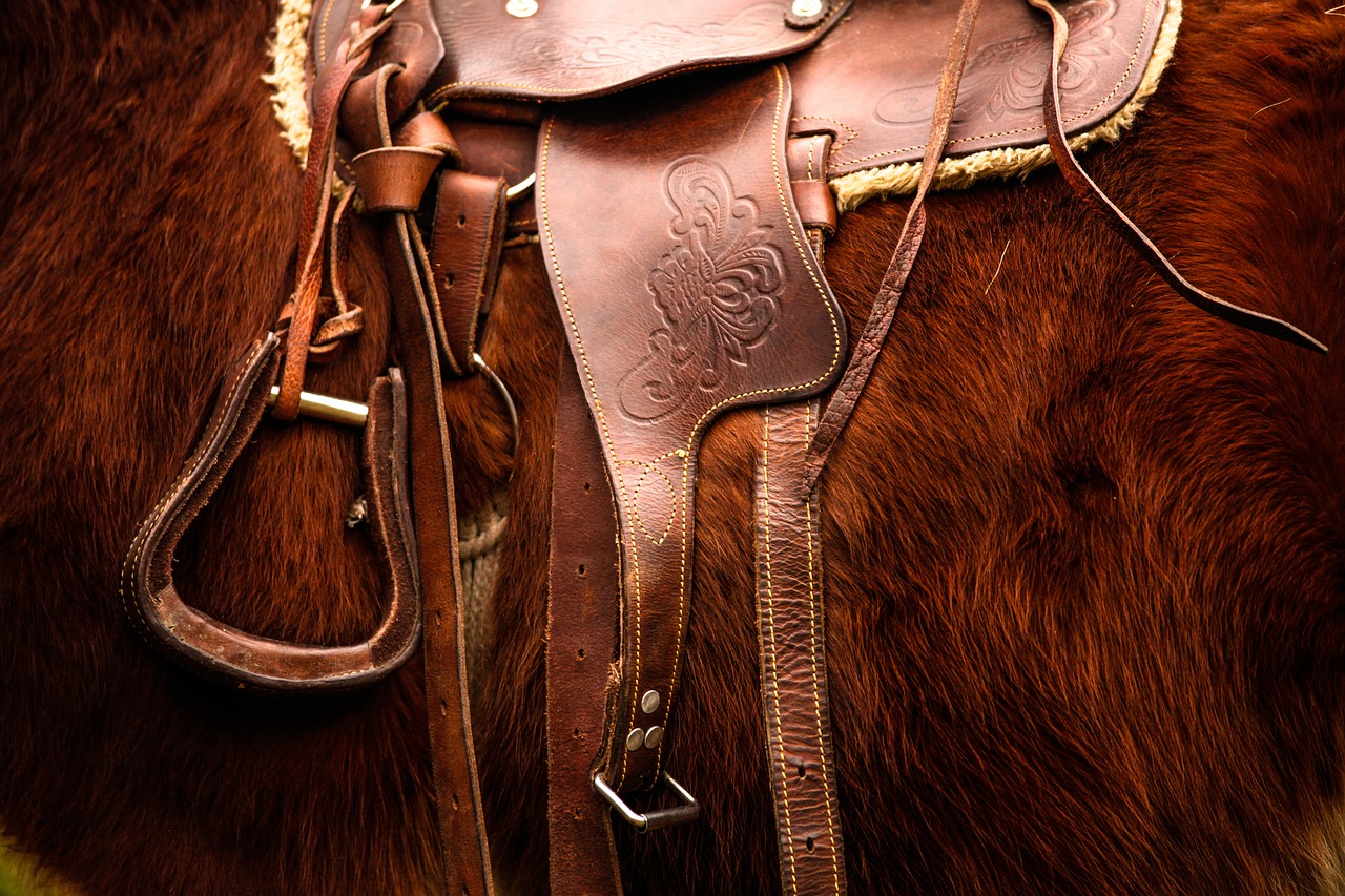 Concours d'équitation : les accessoires indispensables